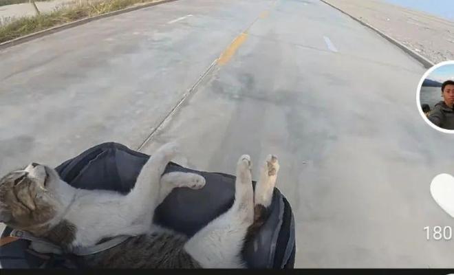 然离世全网泪崩！一场互联网童话……不朽情