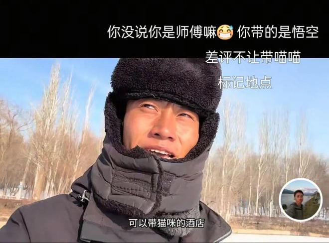 然离世全网泪崩！一场互联网童话……不朽情缘游戏网站“百万粉”流浪猫突(图2)
