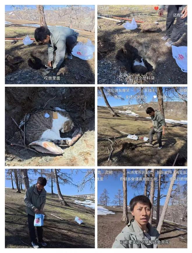 然离世全网泪崩！一场互联网童话……不朽情缘游戏网站“百万粉”流浪猫突(图7)