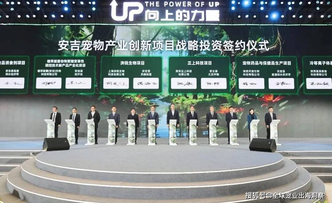 苏等地大推宠物经济国产宠物减肥药要来了不朽情缘游戏手机版广东、浙江、上海、江(图10)